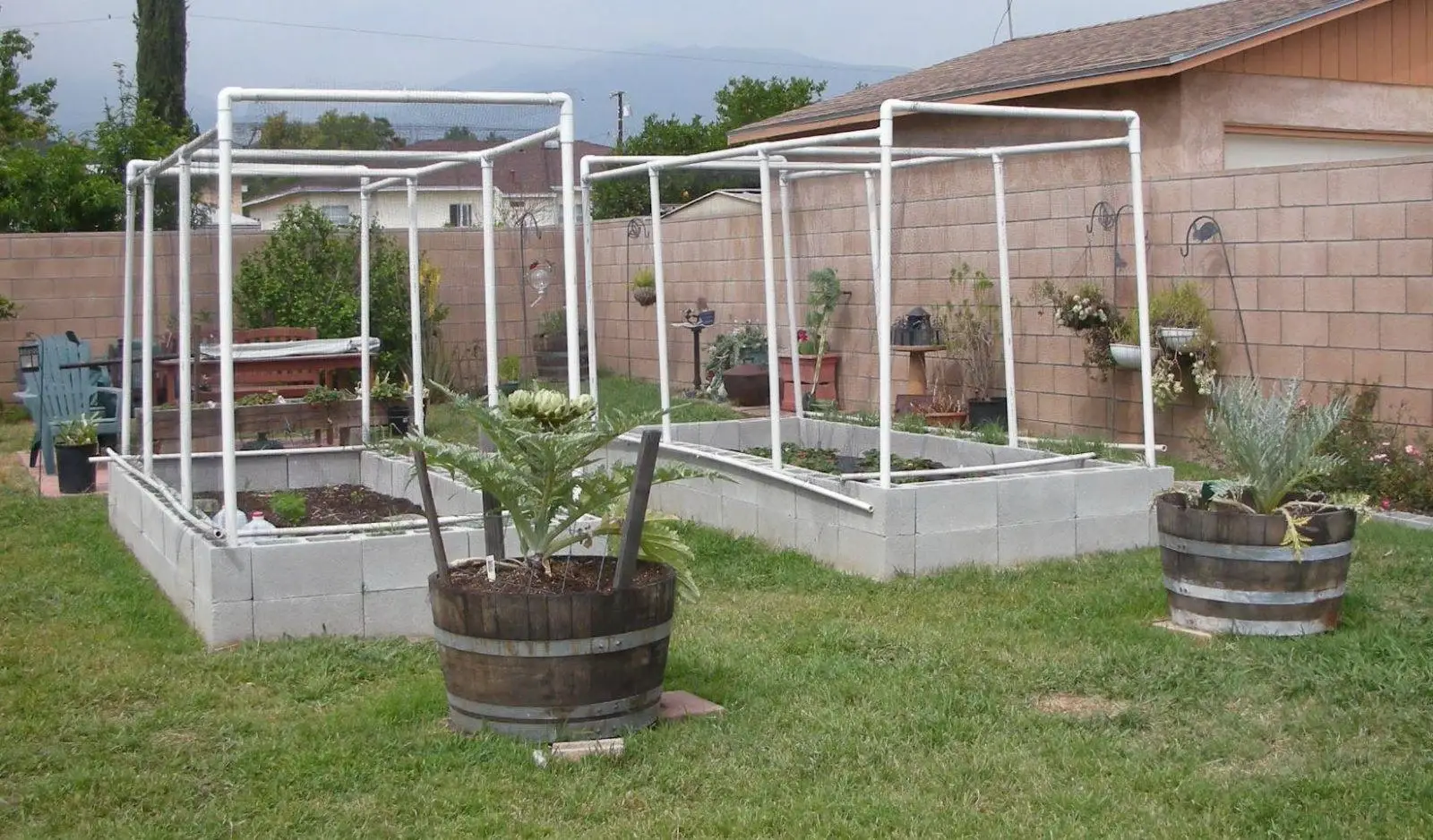 Garden Growing Experiments 2. artichoke spread