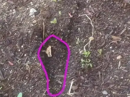 Soil compaction due to walking on the garden bed