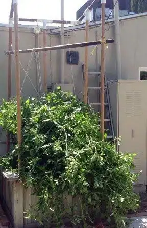 Replacing 6’ with 10’ poles