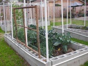Raised Bed Frames Cinder Block Raised Bed Frames Cinder Block